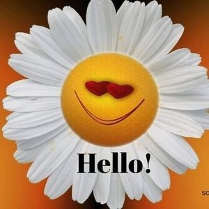 Meet your Posher, Belinda